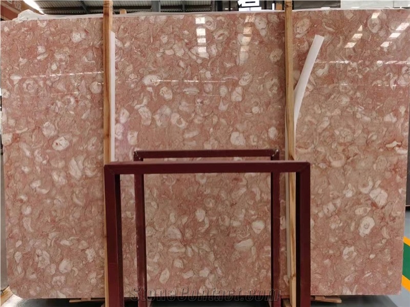 Orient Fossil Pink Limestone Slab
