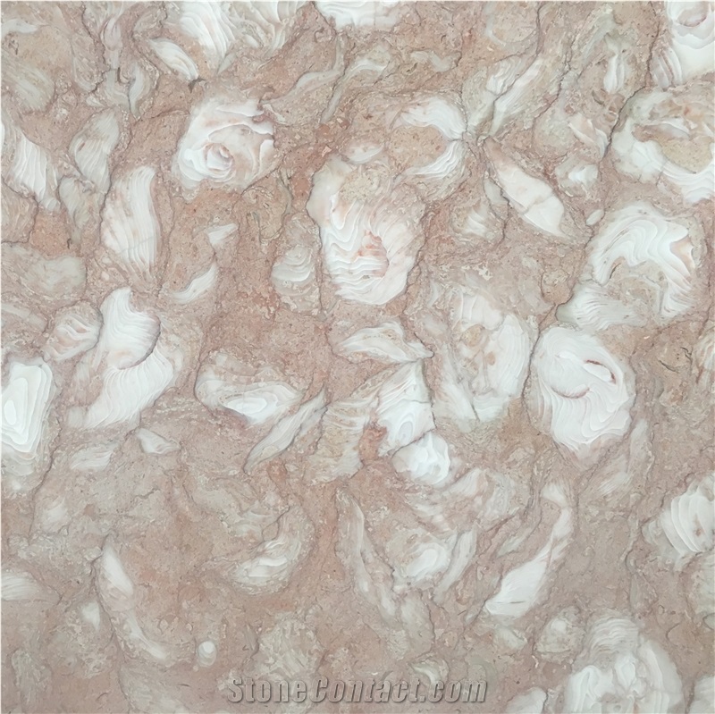 Orient Fossil Pink Limestone Slab