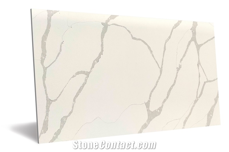 Calacatta Divine Quartz Slabs