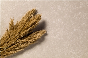 Cimstone Quartz Slab 875 - Linen