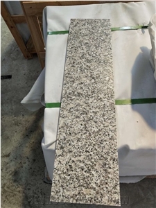 China Grey Sardo Padang Champagne Plum Blossom White Granite