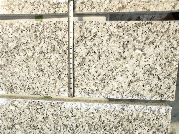 China Grey Sardo Padang Champagne Plum Blossom White Granite