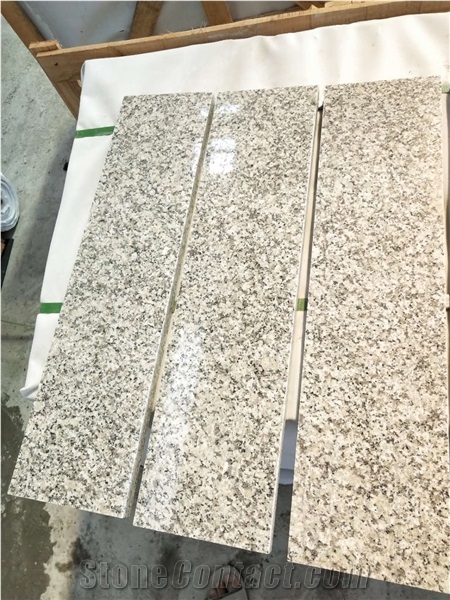 China Grey Sardo Padang Champagne Plum Blossom White Granite