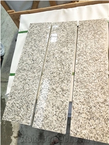 China Grey Sardo Padang Champagne Plum Blossom White Granite