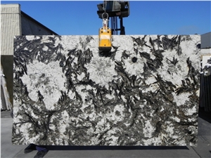 Super Delicatus Granite Slabs