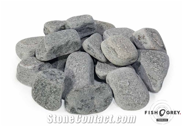 Pebbles Fish Grey