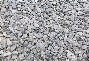 Pebbles Fish Grey