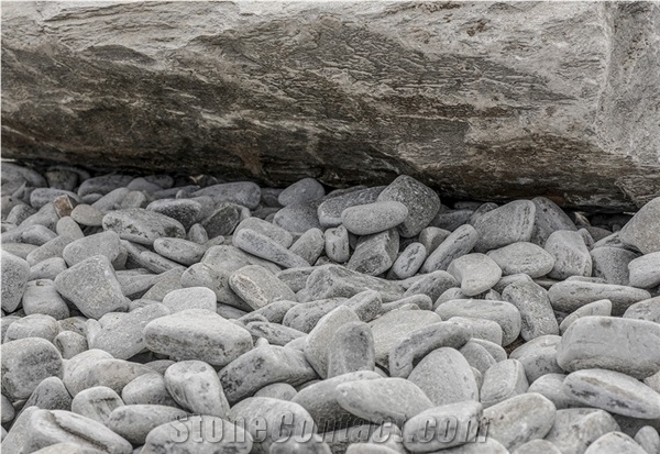 Pebbles Fish Grey