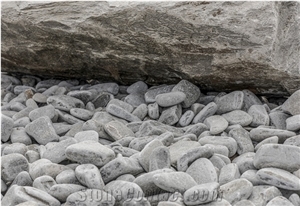 Pebbles Fish Grey