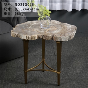 Luxury Natural Petrified Wood Fossil Wood Side Table