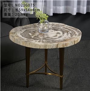 Luxury Natural Petrified Wood Fossil Wood Side Table