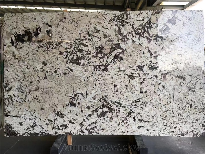 Luxy Stone Splendor White Transparent Wall Design