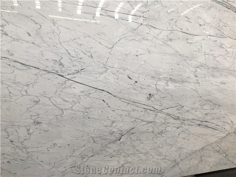Italy Bianco Carrara Statuario Statuary White Marble Tiles