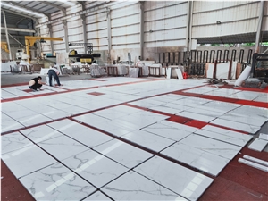Italy White Bianco Statuario Venato Marble Slab And Tile
