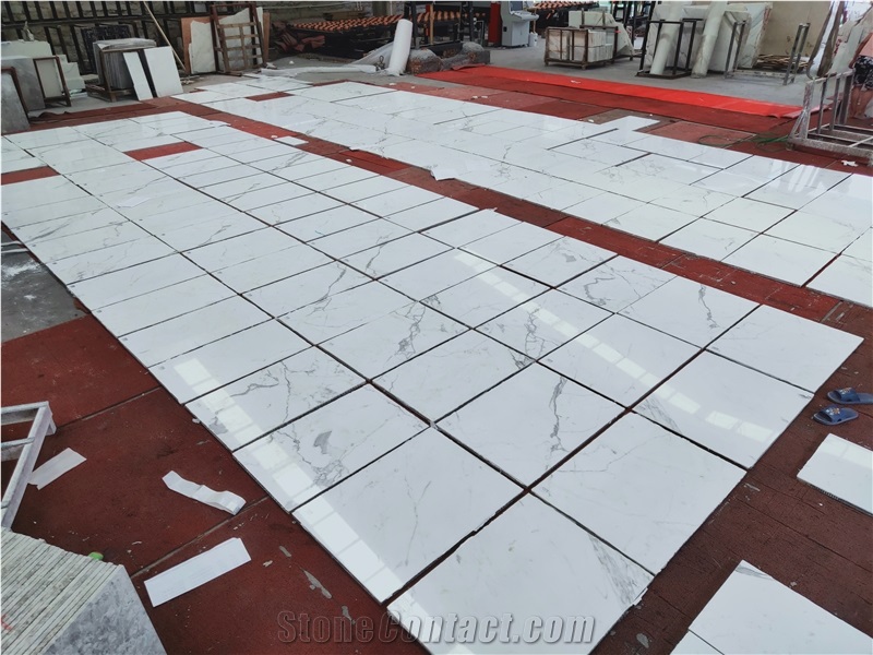 Italy White Bianco Statuario Venato Marble Slab And Tile
