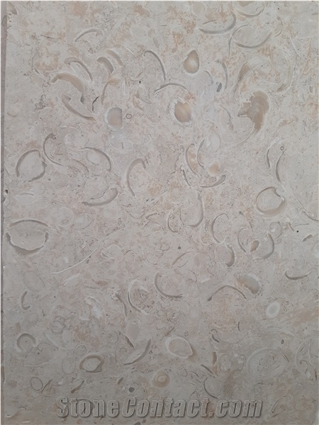 Reef Shell White Coral Stone, White Coral Stone