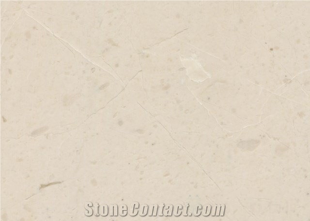 Century Beige Elegant Appearance Turkey Marble Slabs