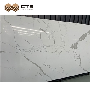 High Price White Quartz Customize Antibacterial Marble Look