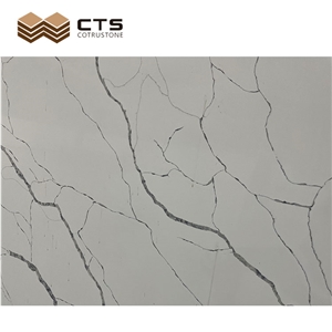 Polished Indoor Area Decoration Slab Calacatta White Quartz