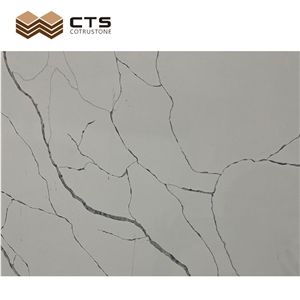 Polished Indoor Area Decoration Slab Calacatta White Quartz