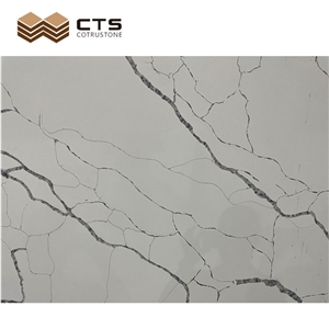 Polished Indoor Area Decoration Slab Calacatta White Quartz