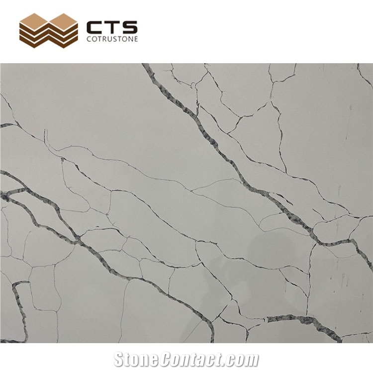 Polished Indoor Area Decoration Slab Calacatta White Quartz
