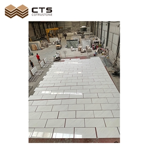 Clean With Light Veins Polaris Sivec White Marble Tiles