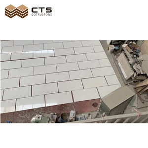 Clean With Light Veins Polaris Sivec White Marble Tiles
