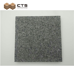 Grey China Export Excellent Quality Granite Gabbro Slab