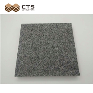 Grey China Export Excellent Quality Granite Gabbro Slab