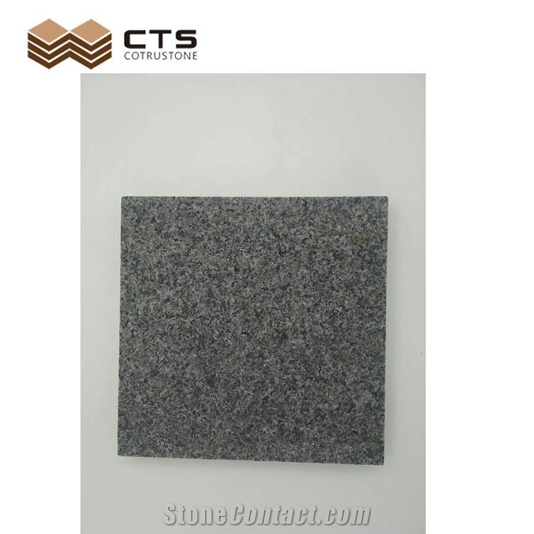 Grey China Export Excellent Quality Granite Gabbro Slab