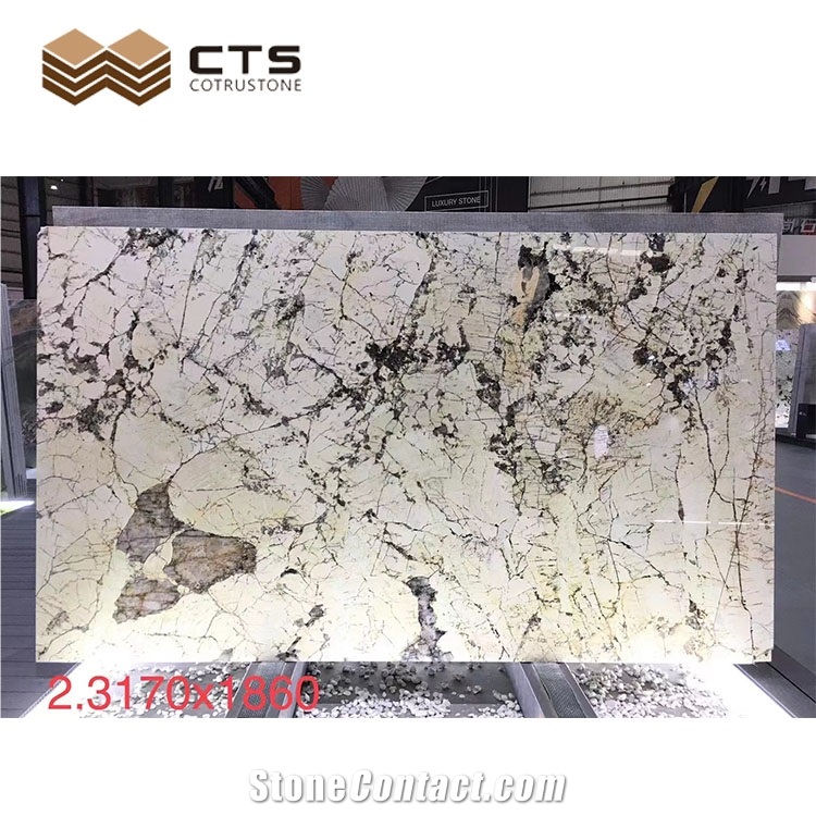 Polished Slabs Modern Style Fairs In Stock Pandora Quartzite
