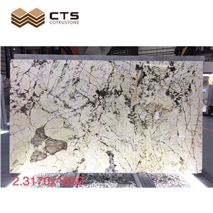 Polished Slabs Modern Style Fairs In Stock Pandora Quartzite