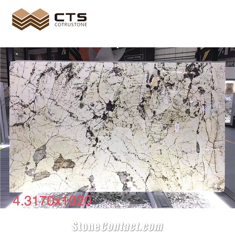 Polished Slabs Modern Style Fairs In Stock Pandora Quartzite