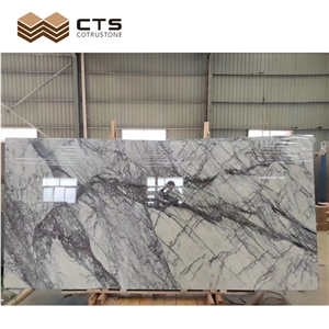Slab Tiles Polished Indoor Decoration Incense Plum Marble