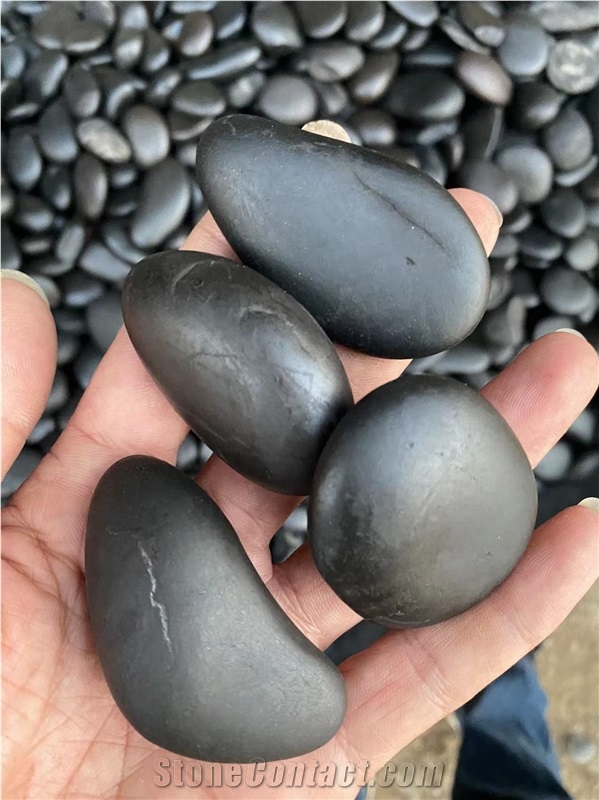 Black Pebble Ordinary Polilshed 2-3Cm For Garden Decoration
