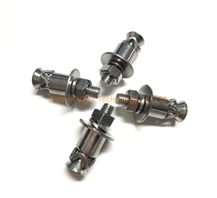 Fixing Anchors Undercut Bolt For Wall Cladding Panels Fixing Anchors Undercut Bolt For Wall Cladding Panels