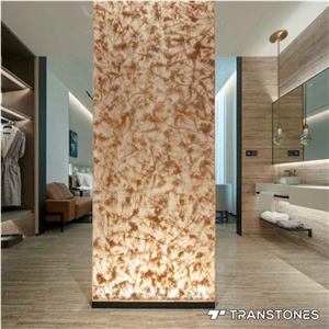 Transtones Decorated Acrylic Bathroom Partition Sheet