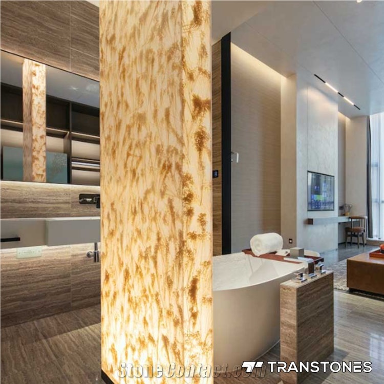 Transtones Decorated Acrylic Bathroom Partition Sheet