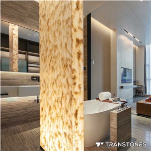 Transtones Decorated Acrylic Bathroom Partition Sheet