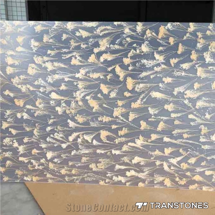 Transtones Decorated Acrylic Bathroom Partition Sheet