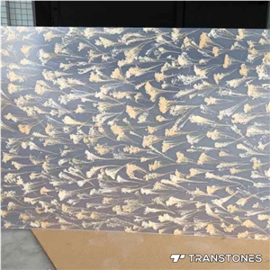 Transtones Decorated Acrylic Bathroom Partition Sheet
