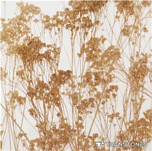 Transtones Decorated Acrylic Bathroom Partition Sheet