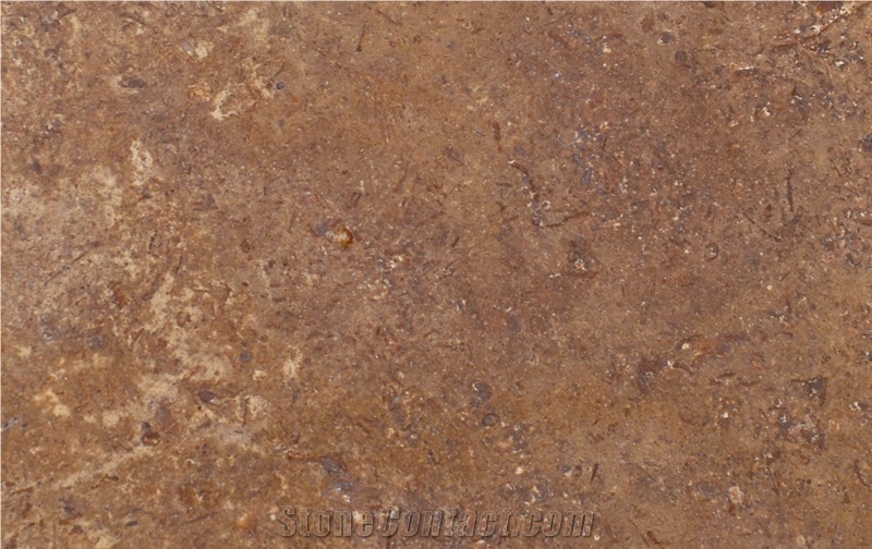 Nigde Noce Travertine Vein Cut