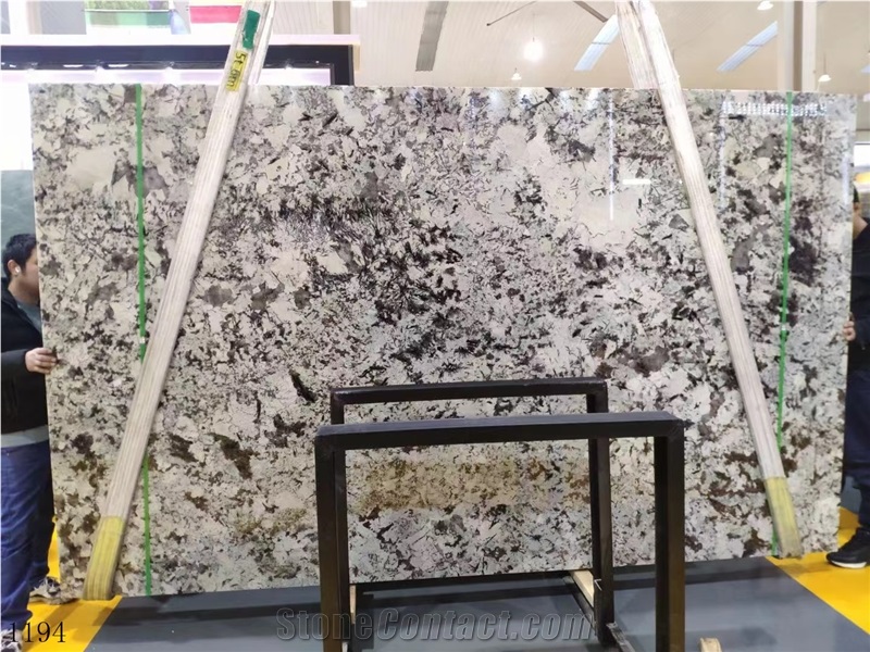 Brazil Silver Fox Granite Bianco Antico Mountain Snow Slab