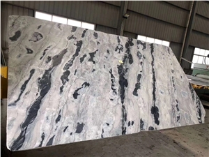 Canada Arctic Ocean Marble Spirited Away Slab Wall Tile