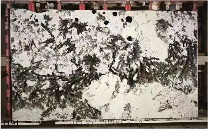 Silver Fox Granite Bianco Antico Mountain Snow Slab Tile