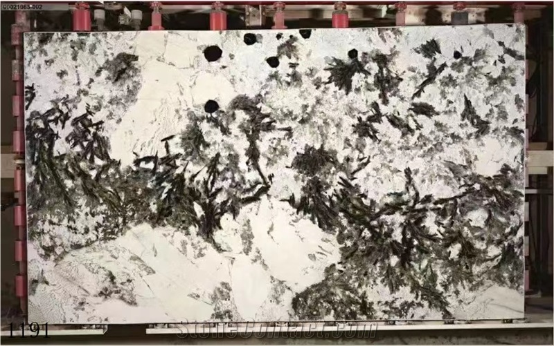 Silver Fox Granite Bianco Antico Mountain Snow Slab Tile
