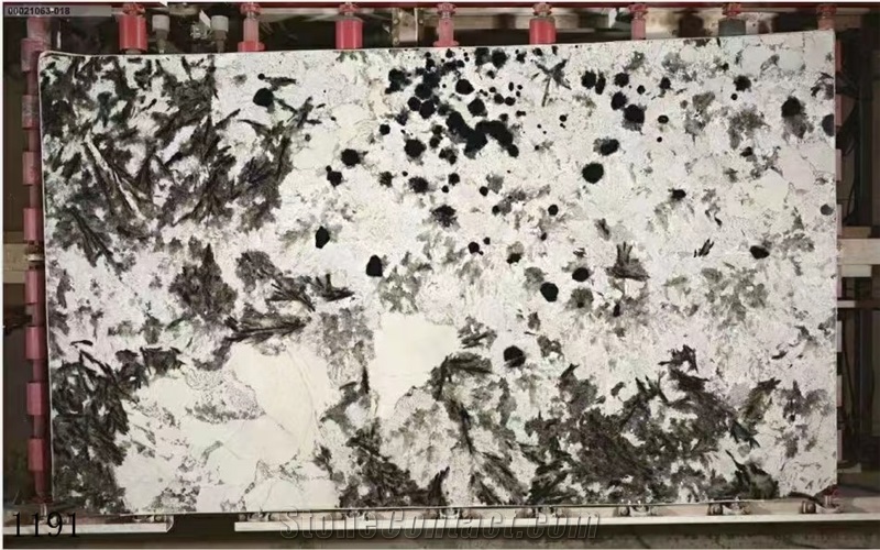 Silver Fox Granite Bianco Antico Mountain Snow Slab Tile