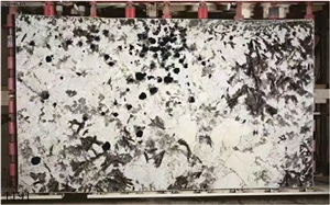 Silver Fox Granite Bianco Antico Mountain Snow Slab Tile